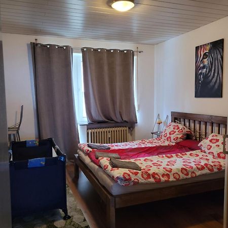 Apartments Nikol - Ludwigshafen Eksteriør billede